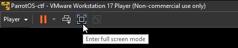 enter full screen